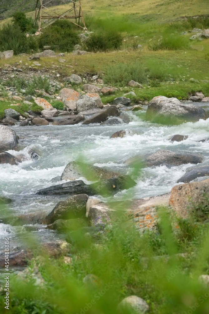 Mountain river flowing through the green forest Mountain river flowing through the green forest