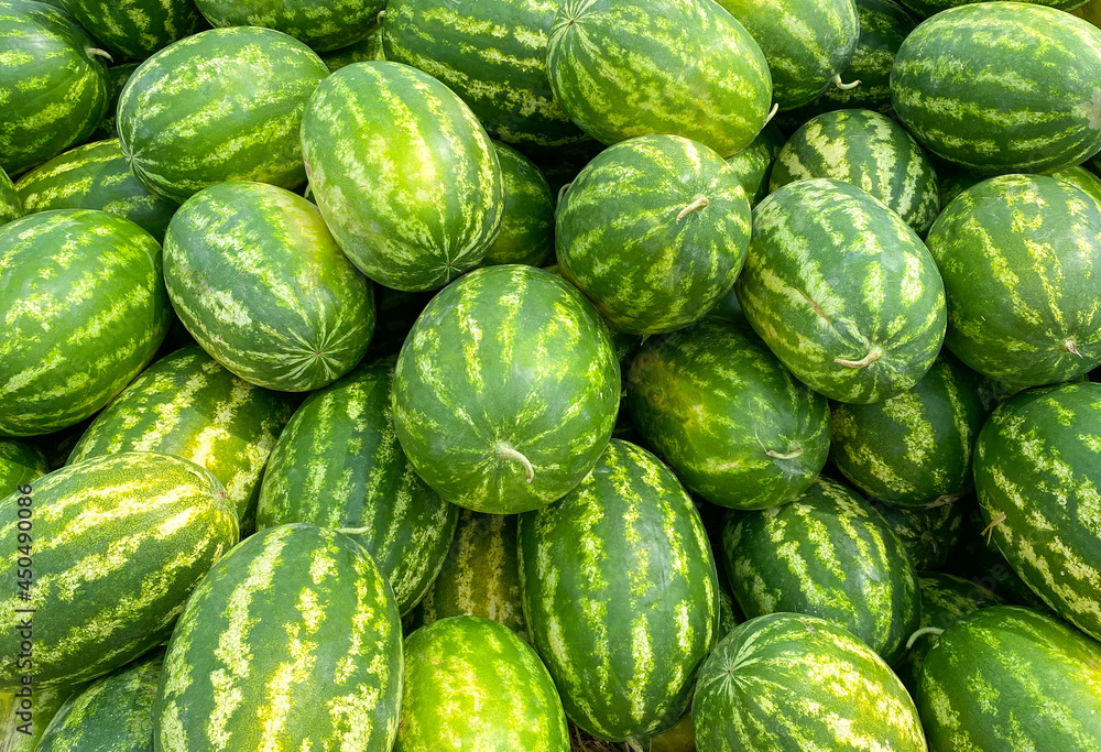 Lots of juicy and ripe watermelons. Watermelons background. Healthy food. Lots of juicy and ripe watermelons. Watermelons background. Healthy food.