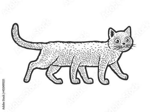 six legged cat sketch engraving vector illustration. T-shirt apparel print design. Scratch board imitation. Black and white hand drawn image.