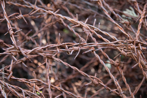 Rust burbed wire, old metal texture. photo