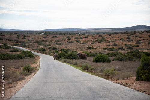 road in the desert © Laurence
