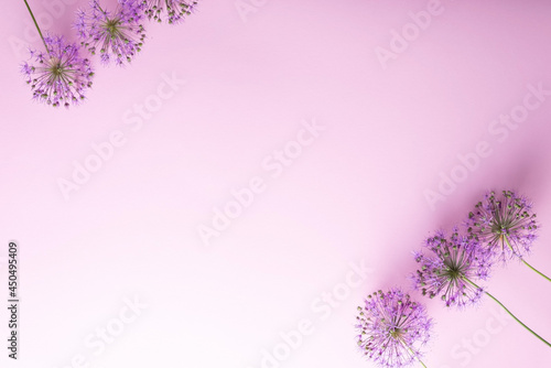 flatlay purple flowers on a pink background minimalism