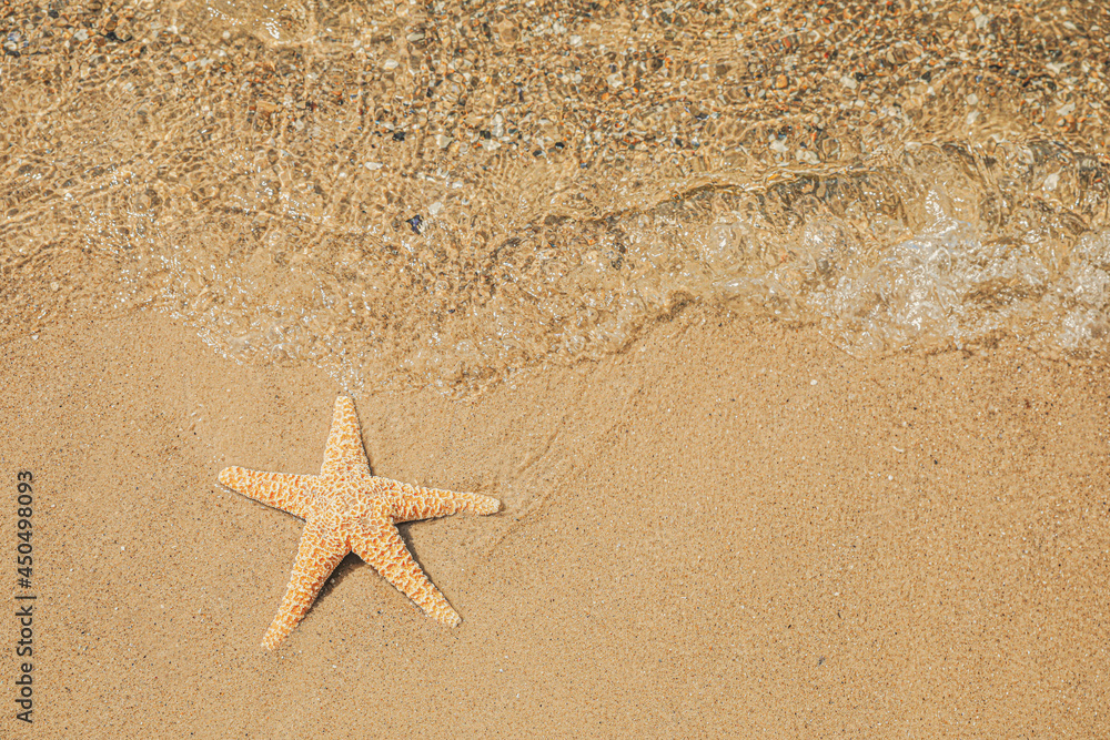 Starfish on tropical sandy beach, top view. Space for text Starfish on tropical sandy beach, top view. Space for text