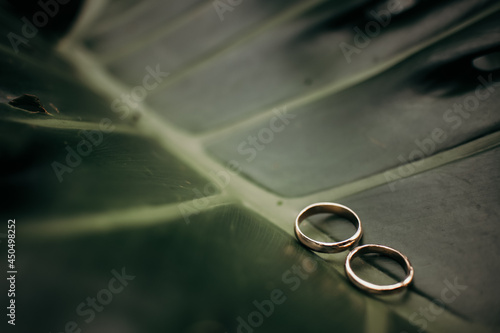 wedding rings on a leaf