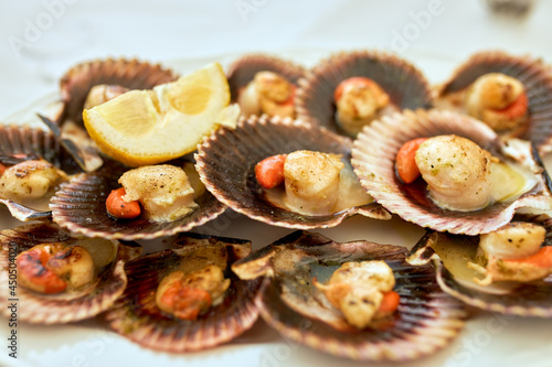 Scallops cooked on a white plate.