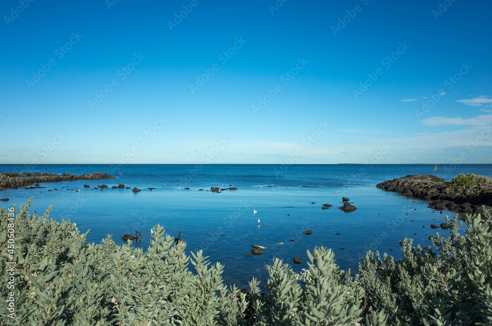 The rocky coastal sea view at Williamstown with some wild water birds and swans in the water against a cloudless blue sky. Melbourne, VIC Australia. Copy space for text. The rocky coastal sea view at Williamstown with some wild water birds and swans in the water against a cloudless blue sky. Melbourne, VIC Australia. Copy space for text.