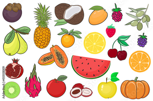 Fototapeta Naklejka Na Ścianę i Meble -  Set of fruits and berries vector illustration. A large set of summer exotic fruits, juicy and ripe berries. Organic healthy food.