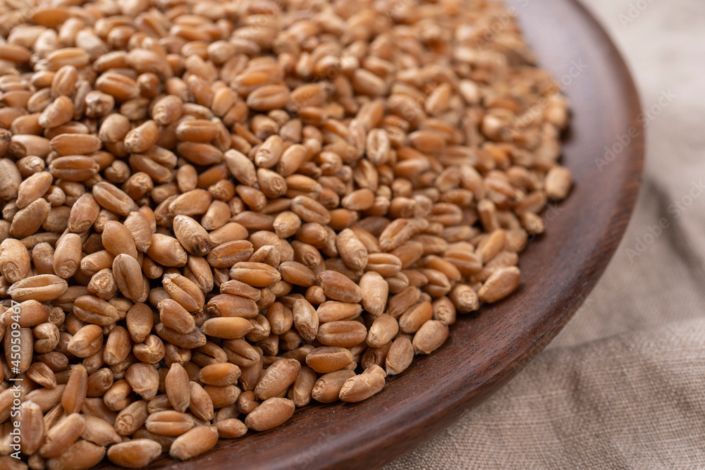 Wheat grains in sack. Close-up of cereal seeds Wheat grains in sack. Close-up of cereal seeds