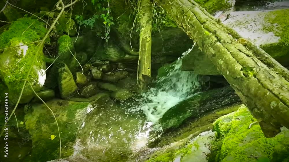Cascata sul Torrente Scarzola, Monte S. Maria Tiberina, PG, Italia Cascata sul Torrente Scarzola, Monte S. Maria Tiberina, PG, Italia