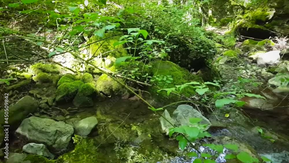 Torrente Scarzola, Monte S. Maria Tiberina, PG, Italia Torrente Scarzola, Monte S. Maria Tiberina, PG, Italia