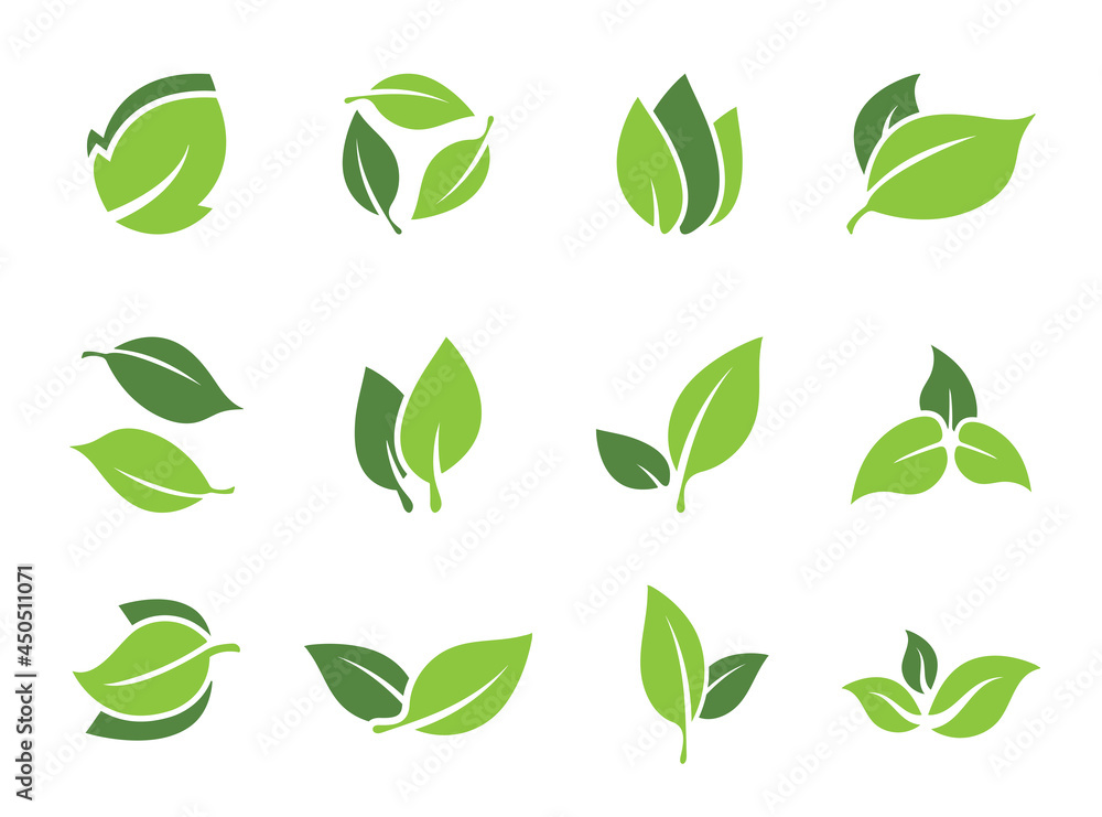 Collection of leaf elements for logo or eco symbols. Vector green leaves for design Collection of leaf elements for logo or eco symbols. Vector green leaves for design