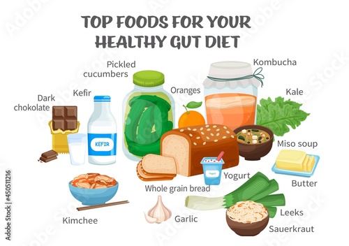 Top foods for gut health. Healthy products collection.