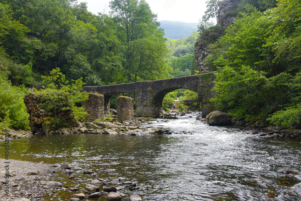 Fototapeta premium Puente de las Brujas and Leitzaran river. Andoian, Gipuzkoa, Basque Country, Spain