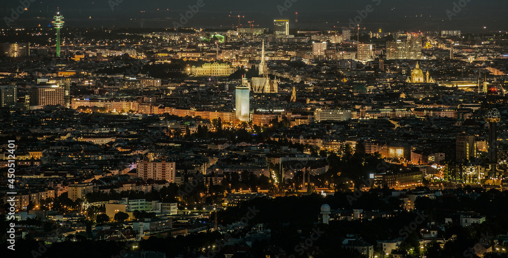 City of Vienna During Night Hours Panorama