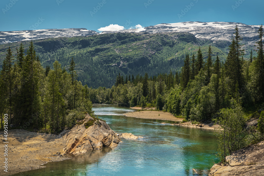 Scenic Summer Landscape with River and Mountains