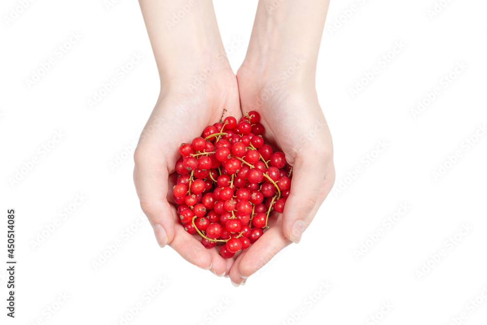 Tasty red currant in woman hand isolated on white background. Tasty red currant in woman hand isolated on white background.