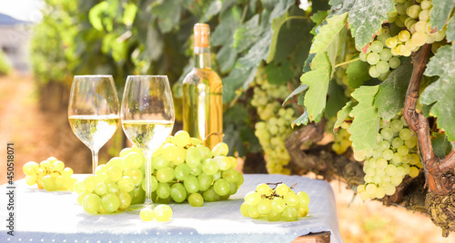 still life with glass of White wine grapes on table in field photo