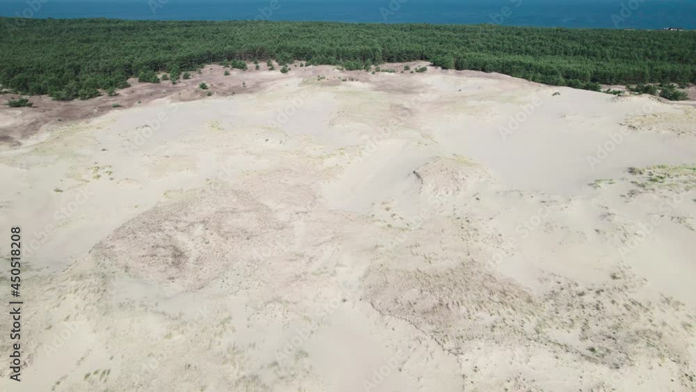 Curonian Spit, Efa dune. A sand dune is bordered by a forest. Curonian Spit, Efa dune. A sand dune is bordered by a forest.