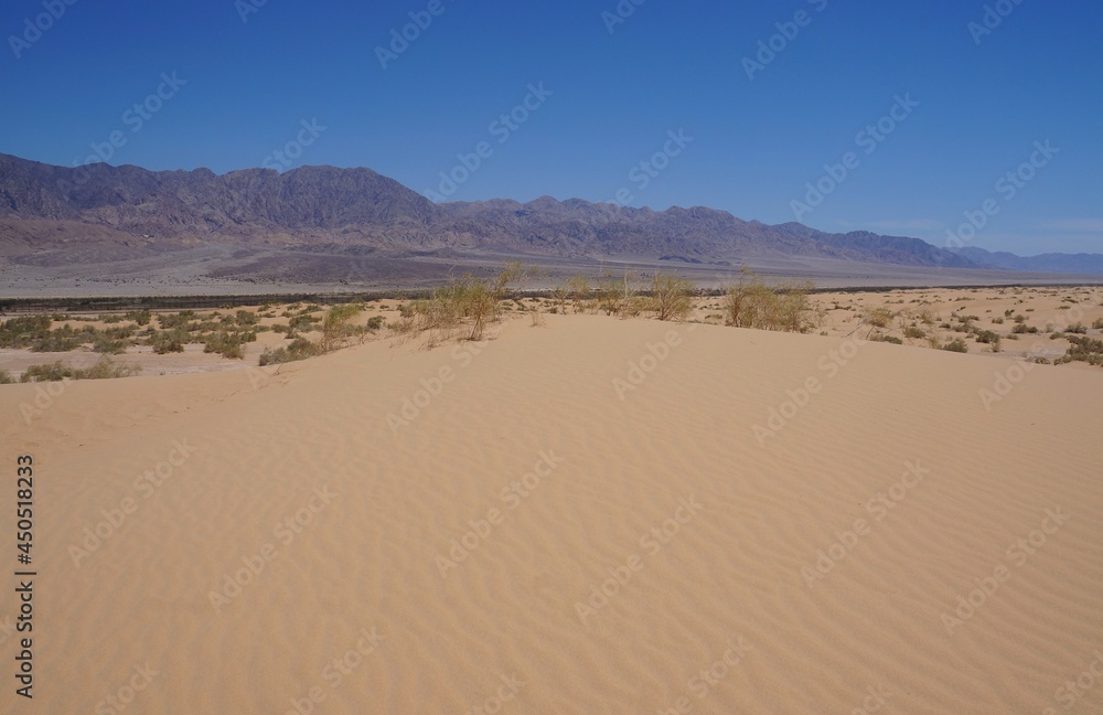 Sand dunes in the desert, selective focus Sand dunes in the desert, selective focus