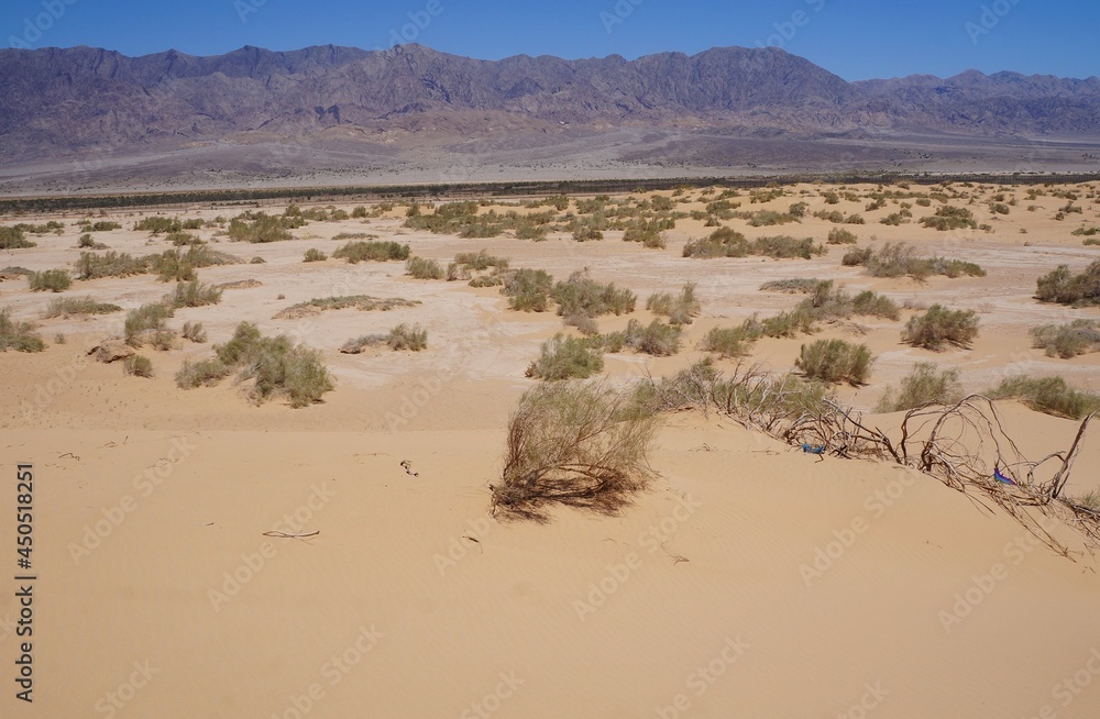 Sand dunes in the desert, selective focus Sand dunes in the desert, selective focus