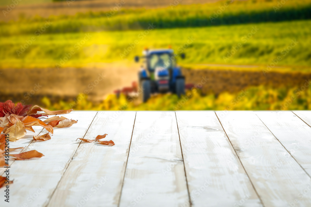 Obraz premium Wooden white table, leaves falling from trees on a beautiful autumn day