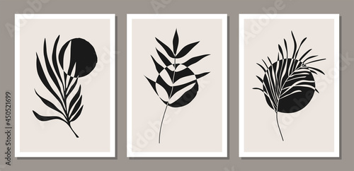 Set of minimalist botanical wall art composition with leaves abstract collage