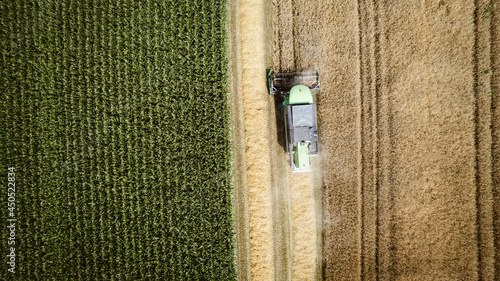 Mähdrescher auf einem Getreidefeld bei der Ernte. NRW, Deutschland, 