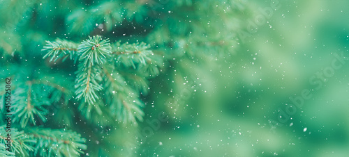 Christmas tree background with falling snow
