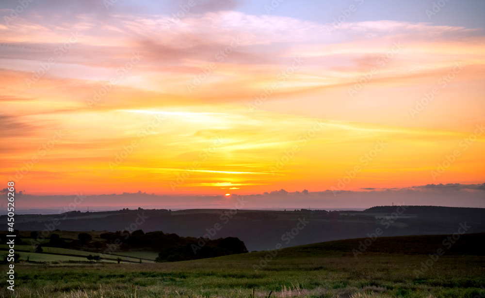 Fototapeta premium sunset over the field