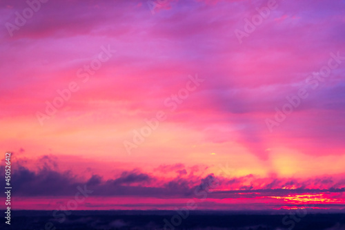 purple-pink sunset over the forest