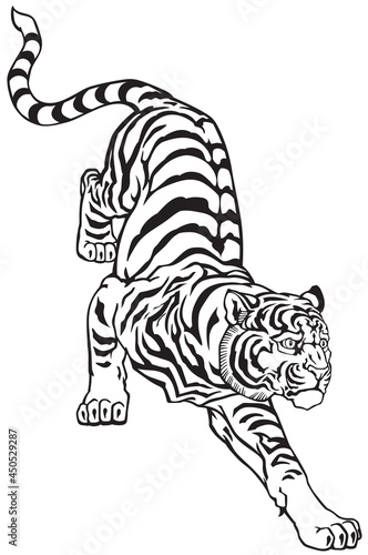Peaceful tiger climbing down. Black and white tattoo. Graphic style vector illustration