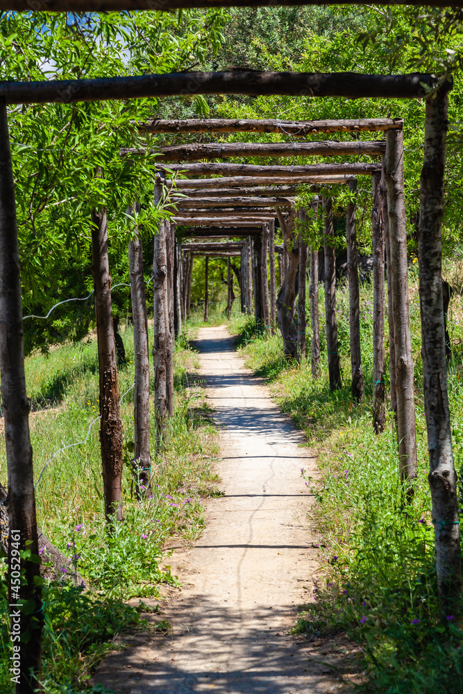 Obraz premium Valley of the Temples; Sicilian: Vaddi di li Tempri) is an archaeological site in Agrigento 