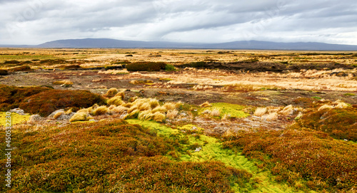 Autumn Patagonian prairie immediately after the rain near of Punta Arenas, Chile.