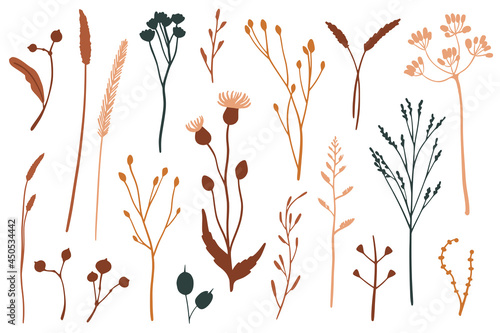 Vector set of flat floral elements. Simple autumn collection © Elena