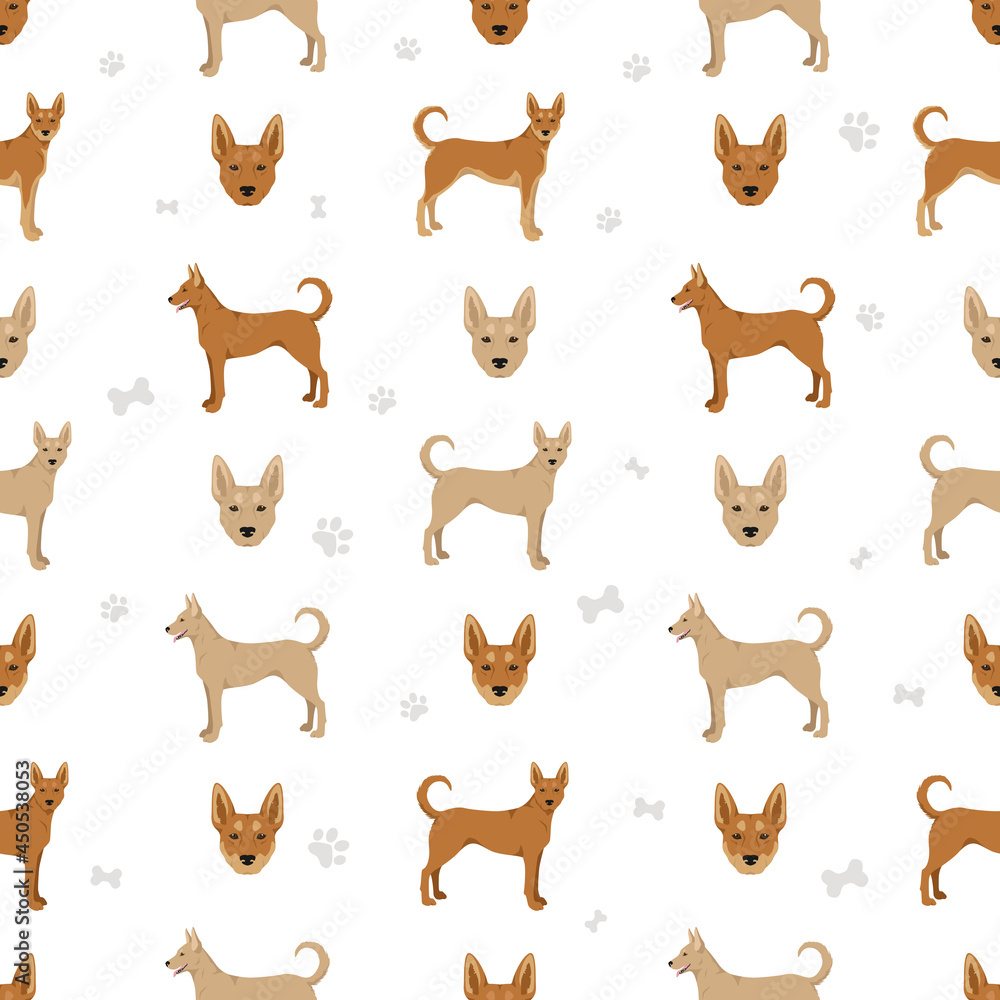 Carolina dog seamless pattern. Different poses, coat colors set
