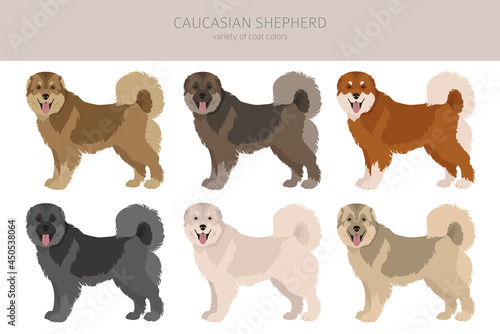 Caucasian shepherd clipart. Different poses, coat colors set