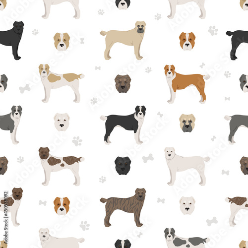 Central asian shepherd seamless pattern. Different poses  coat colors set
