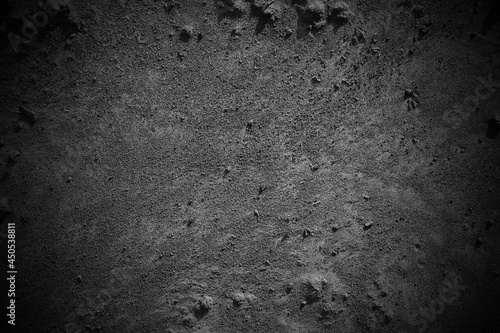 Black soil. Top view. Background. Texture.