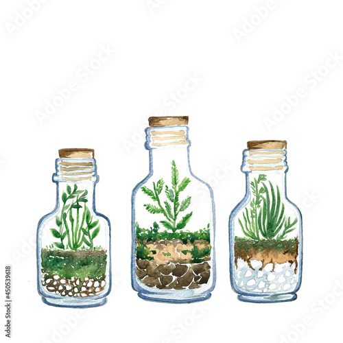 terrarium watercolor painting