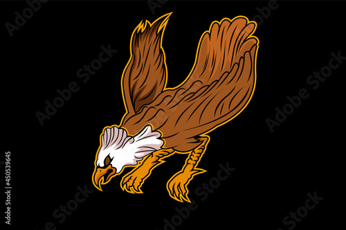 angry eagel in the dark vector photo
