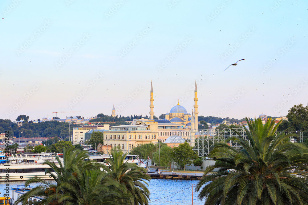 Istanbul. sortie of Istanbul. Golden Horn. Istanbul in the evening. Istanbul. Turkey. Evening istanbul.view of the city
