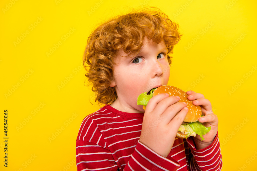 Photo of young hungry ginger wave hair boy hold hands hamburger eat fast food isolated on yellow color background Photo of young hungry ginger wave hair boy hold hands hamburger eat fast food isolated on yellow color background