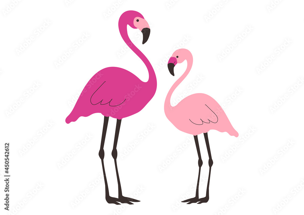 Obraz premium ピンクフラミンゴのベクターイラスト
