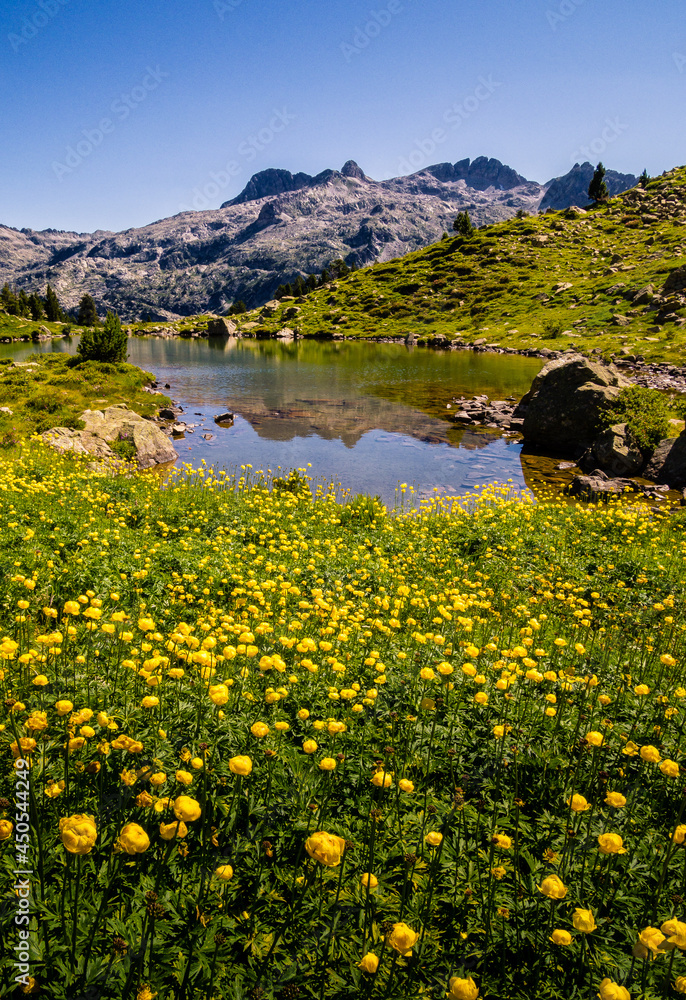 Ibon de montaña con flores amarillas en primer plano y altas montañas de fondo.