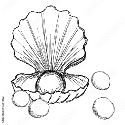 Rough vector sketch of a sea shell with pearls scattered around. Black and white freehand pencil drawing of an open seashell and several balls