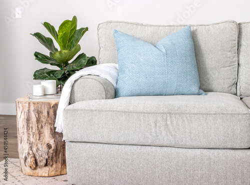 A modern farmhouse home decor scene with couch, wood stump end table, throw pillows and fiddle leaf fig houseplant. photo