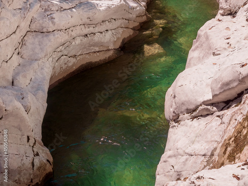 Bright green water flowing in the crevice of the rock is illuminated by the sun