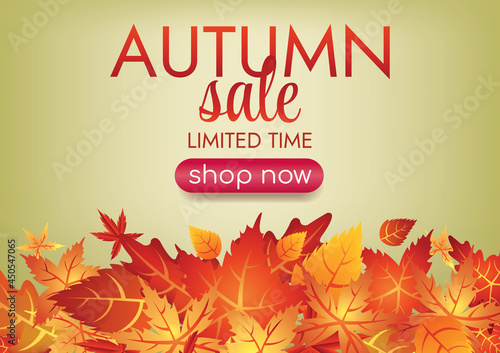 autumn season art vector sprcial art background  photo