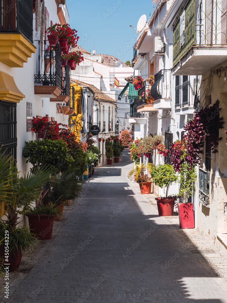 Obraz premium Central street in the city of Estepona on the Costa del Sol, colorful and full of flowers