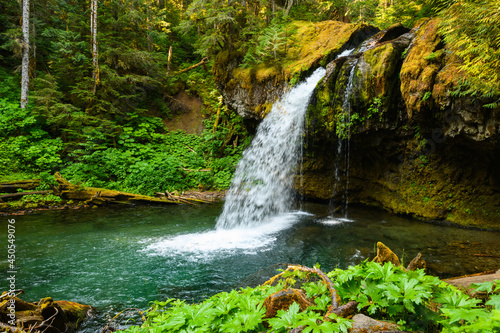 Fototapeta Naklejka Na Ścianę i Meble -  Iron Creek Falls is a beautiful waterfall in Gifford Pinchot National Forest alongside Forest Road 25 in Southwest Washington State